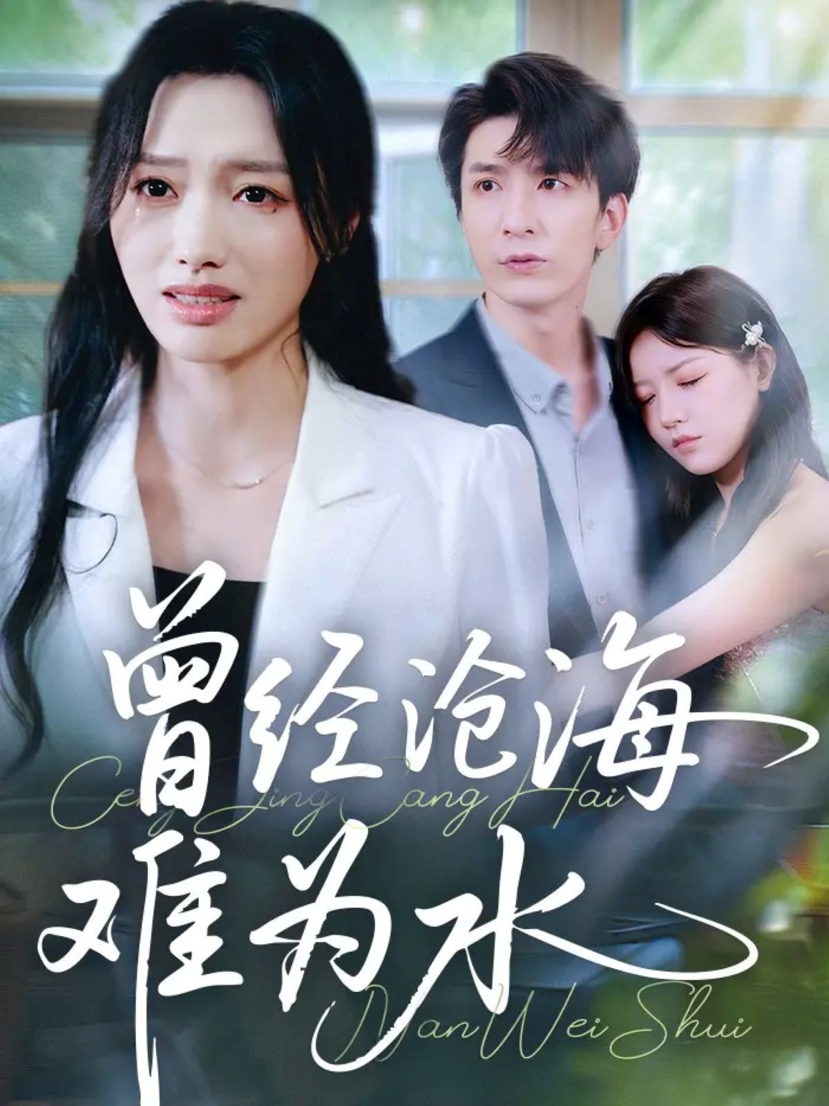 新曾經(jīng)滄海難為水(全集)