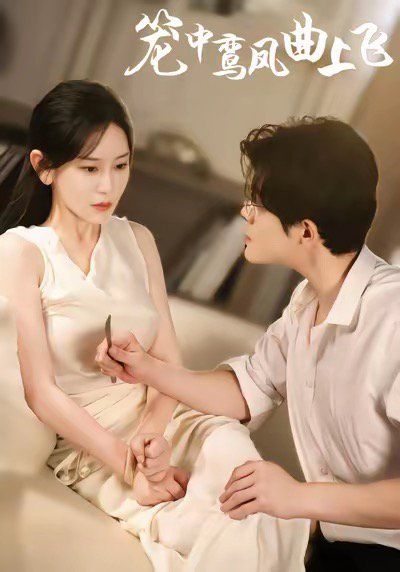 籠中鸞鳳曲上飛(全集)